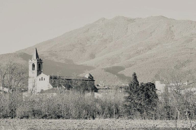 estètica palautordera mercè illa