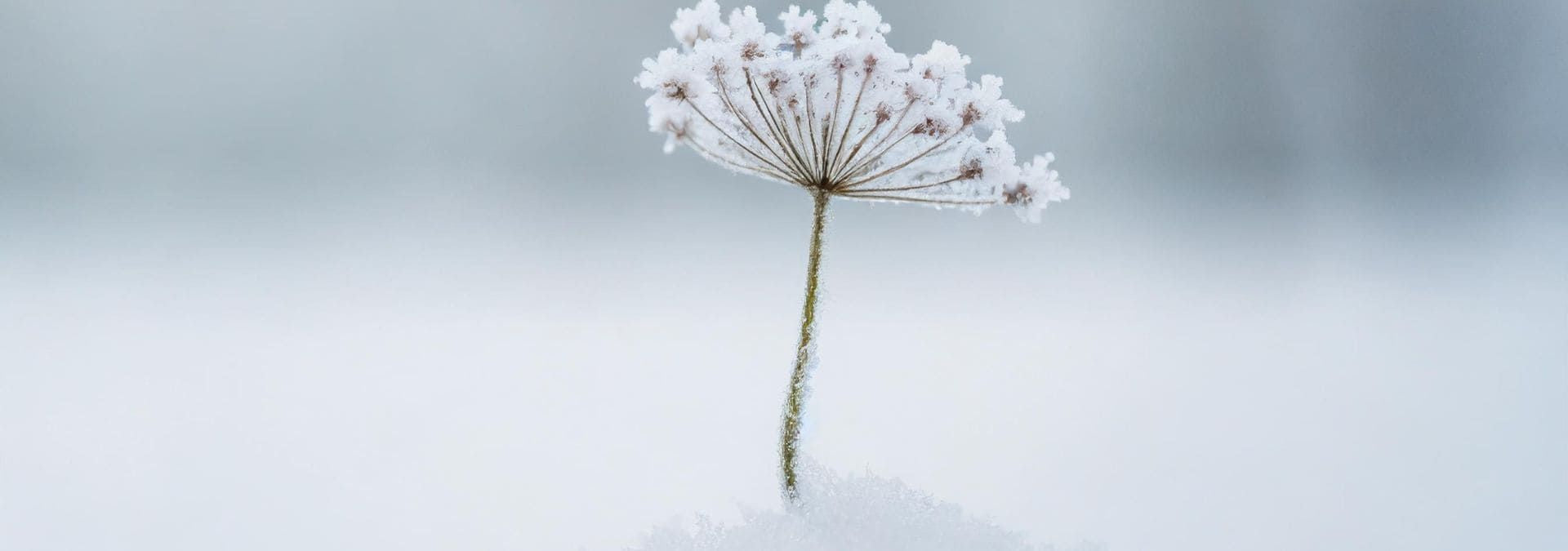 slider image slider_item_dqwMj7